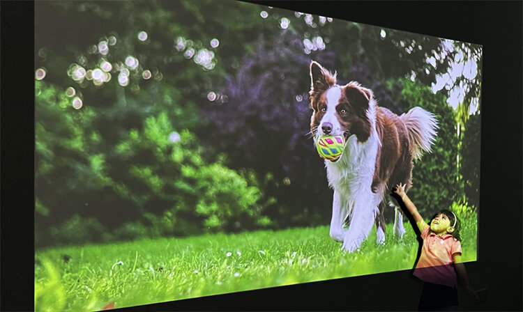 超大螢幕，<br>最高可達150吋。